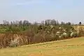 Lukavac - panorama
