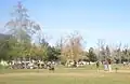 Sepulveda Off-Leash Dog Park