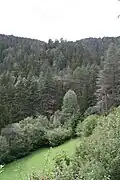 Castle hill