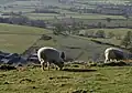 View from Nibley Knoll