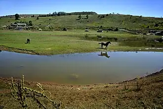 Sjenica Lake