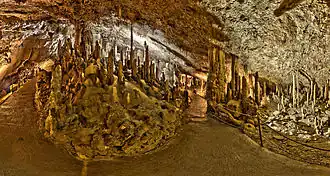Škocjan Caves, a UNESCO site