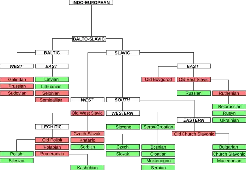 Language-tree graph