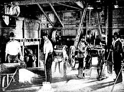 Sample house (1900)