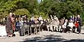 Speech at the end of the ceremony