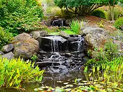 Small waterfall.