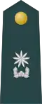 Junior commander