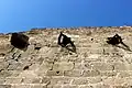 Upper wall fortifications.