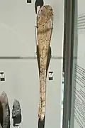 Engraved spoon, Dolni Vestonice