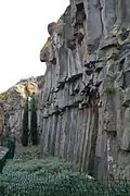 Basalt organ