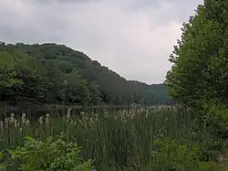 Standing Stone Lake's east shore, near Overton Lodge