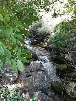 Stara river