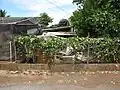 Trailing on fence