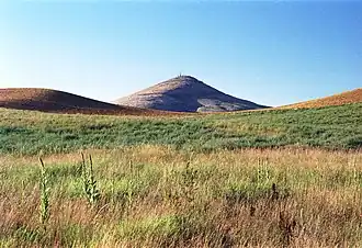 Landscape