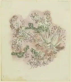 Study of plants