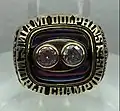 Super Bowl VIII (Miami Dolphins)