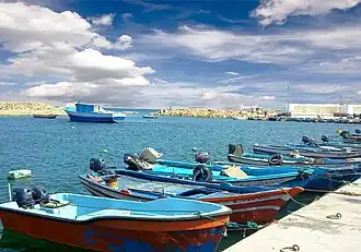 Marsa Surman