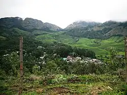 Suryanelli in 2011