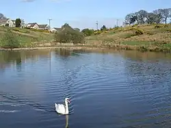 Banton Loch