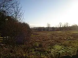 Briar Road Meadows