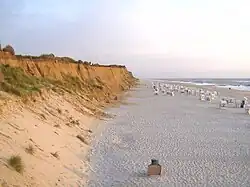 Coastal dunes
