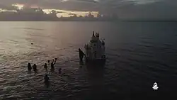 Tadjah in the ocean