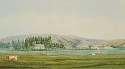 Tapanui Homestead
