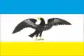 Flag of Tarashcha