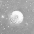Taruntius H from Apollo 15