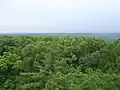 View from lookout tower.