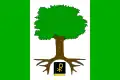 Flag of Telecí