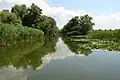 Danube Biosphere Reserve