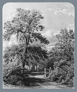 The Grandmother Tree, near Middletown, Long Island,1858, Metropolitan Museum of Art