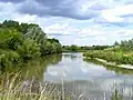 Tring Reservoirs