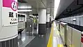 Oedo Line platforms, December 2017
