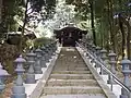 Steps