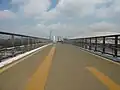 Coliseum Bridge