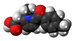 Space-filling model