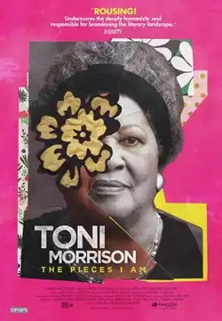 theatrical release poster