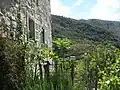 View to olive terraces