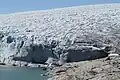 Tour on the glacier (2011)