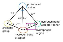 Pharmacophore model