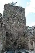 Inner side of the ring wall