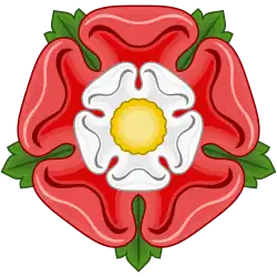 A red and white flower.
