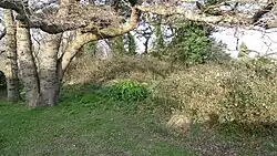 Tumulus on the south side of Wick Lane