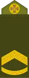 Штаб-сержант Shtab-serzhant (Ukrainian Ground Forces)[47]