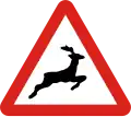 Wild animals