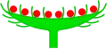 Diagram of a flower head. Note bracts surrounding the flowers, which would be absent on a capitulum.