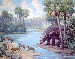 Uintatherium and Orohippus from Eocene