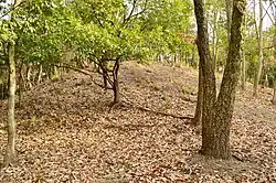 Uji Kofun Cluster
